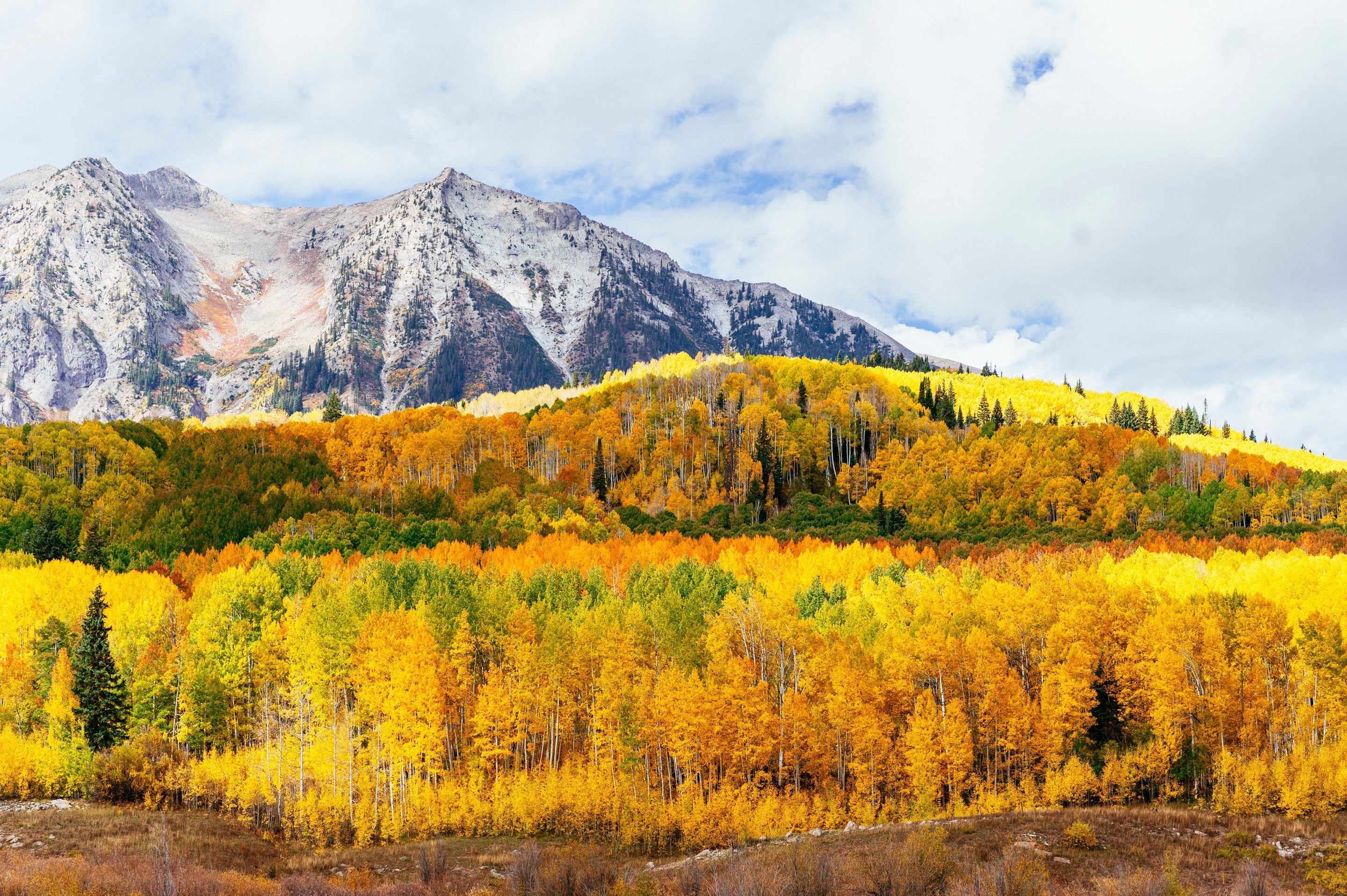 Fall Foliage & Colorado Colors