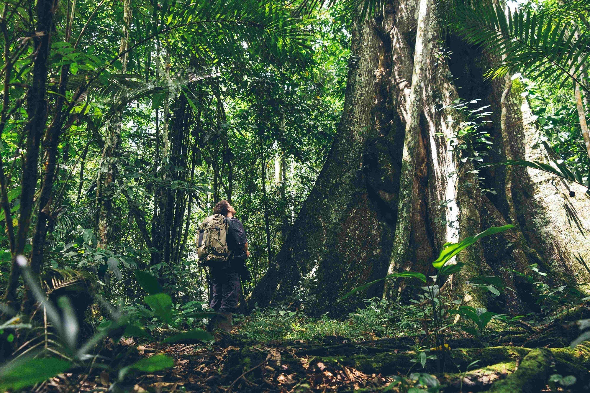 Wilderness International: Protecting The Last 2.8%