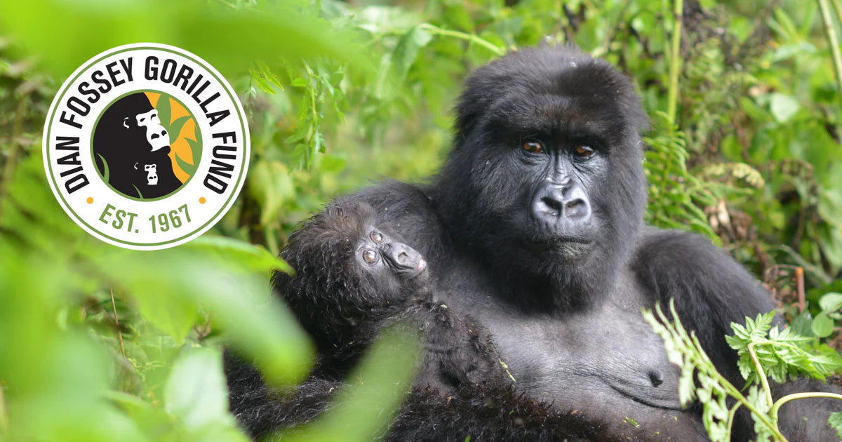 Dian Fossey Gorilla Fund Collection - ALL