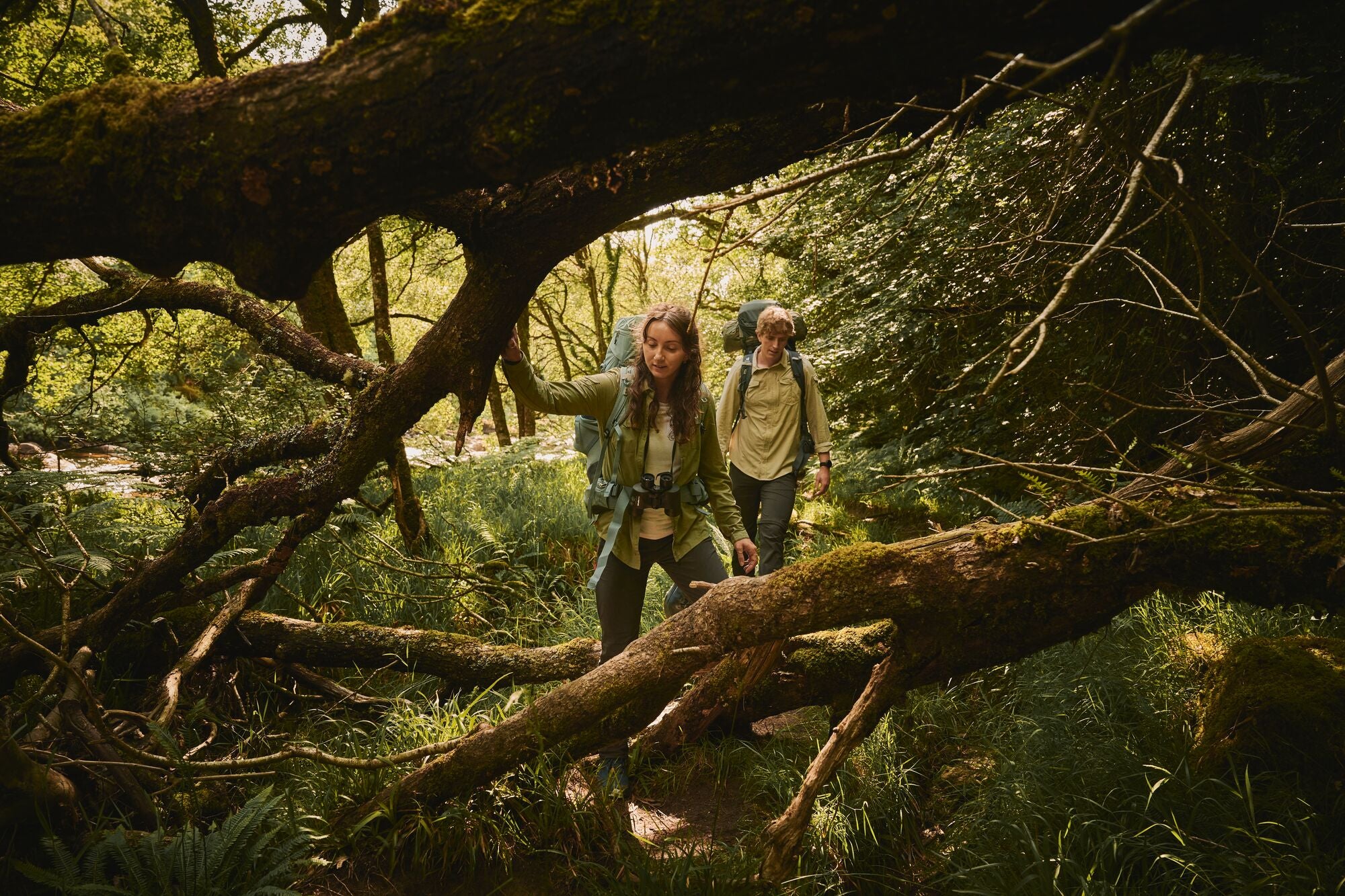 Women's Long Sleeve Shirts