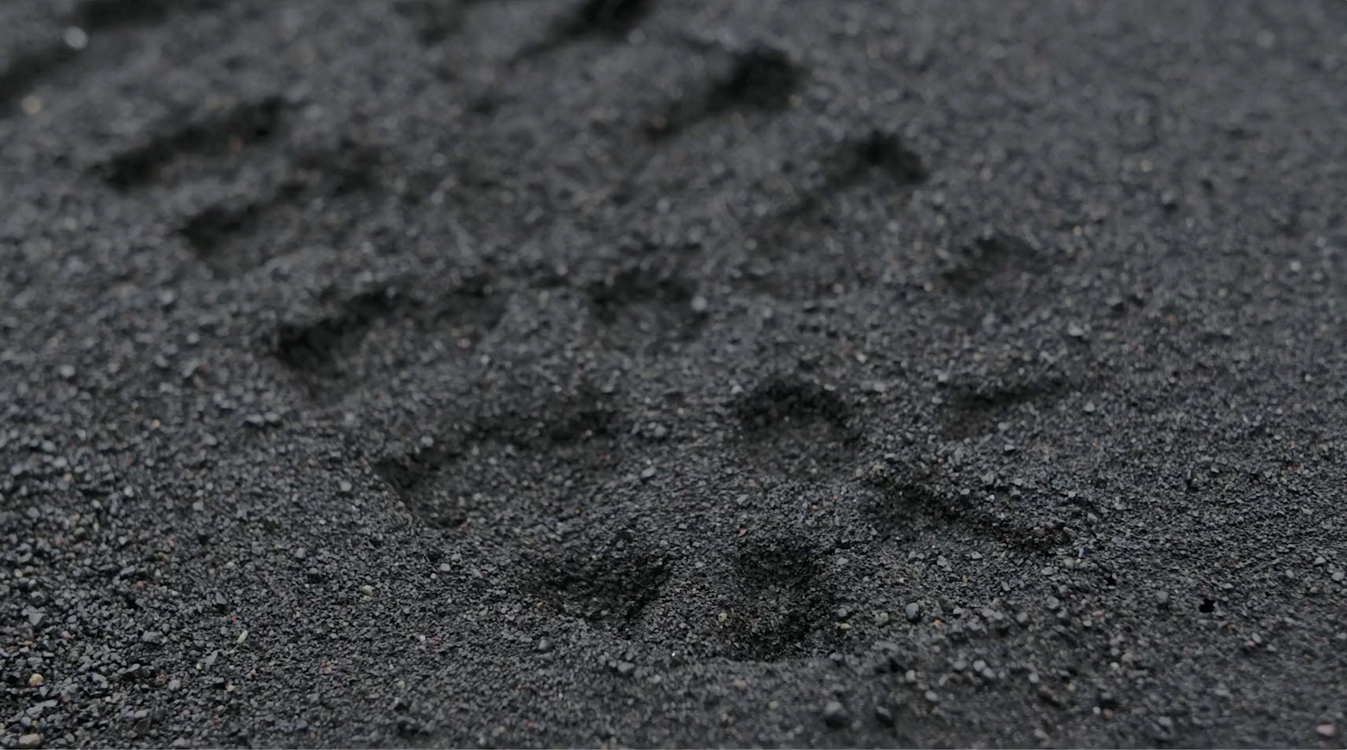 NewHide® Technology