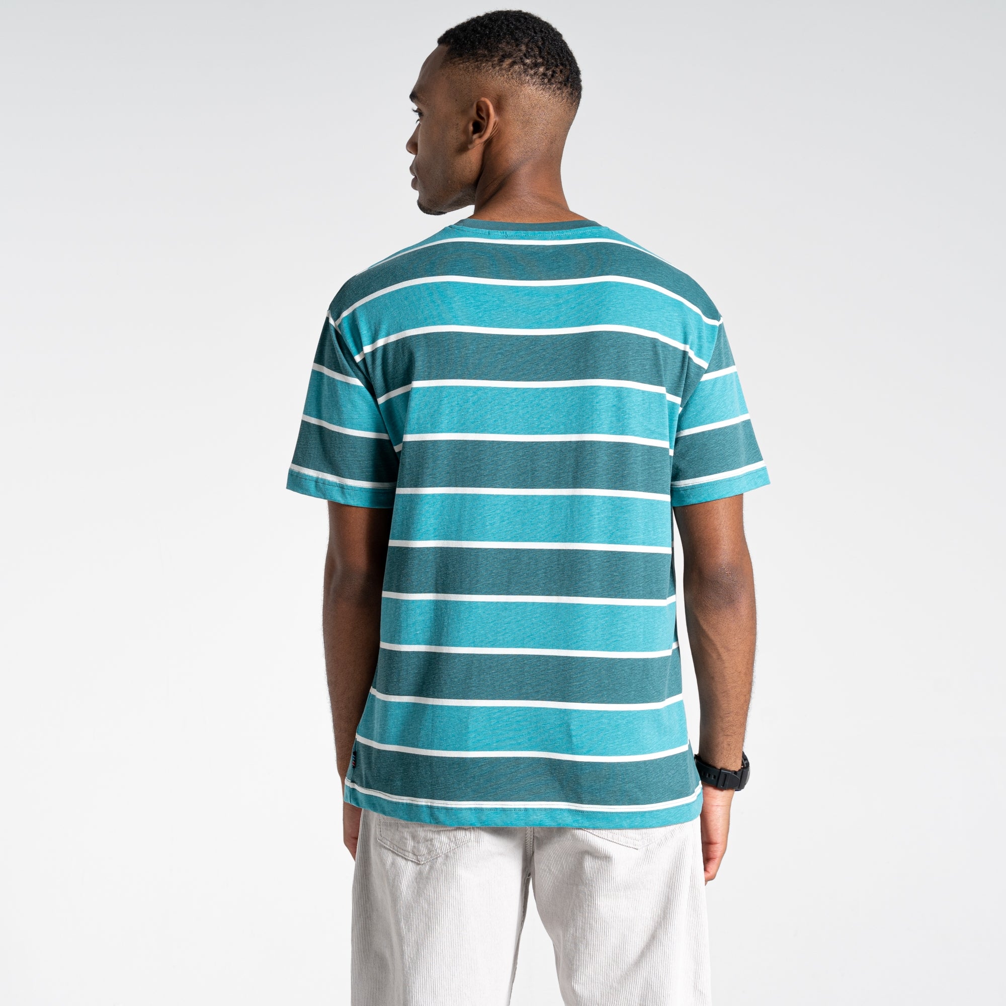 Unisex Ventura Short Sleeved T-Shirt - Sacramento Green Stripe