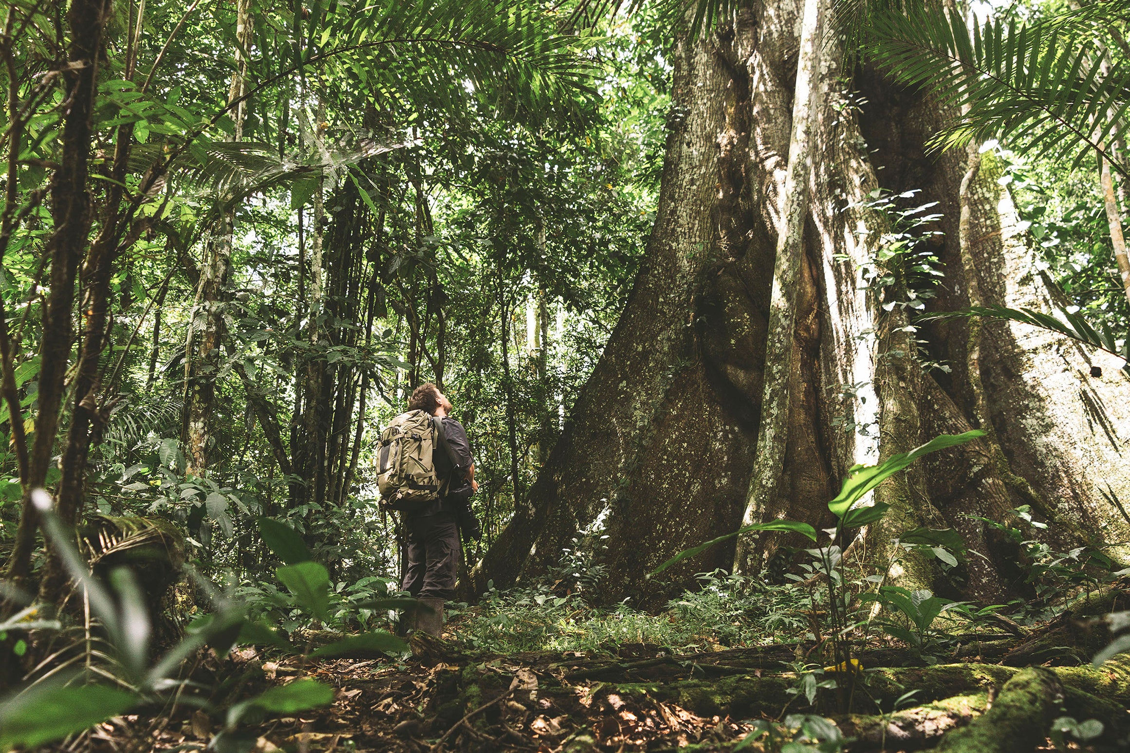 Men's Insect Shield® Pants