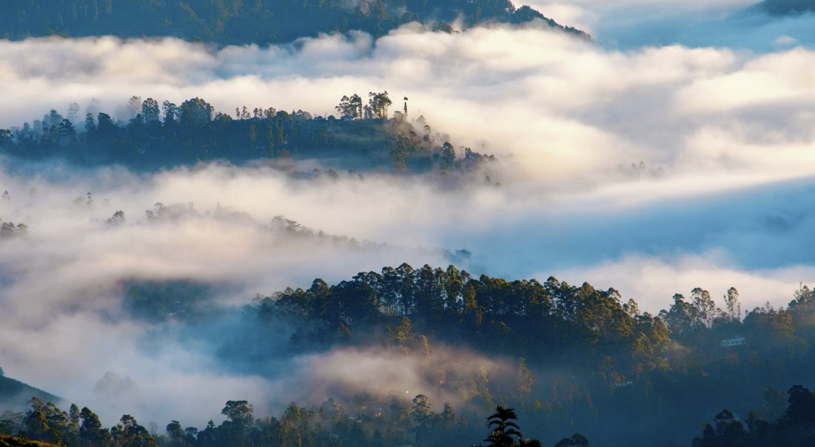 Dynamic 12000 Technology