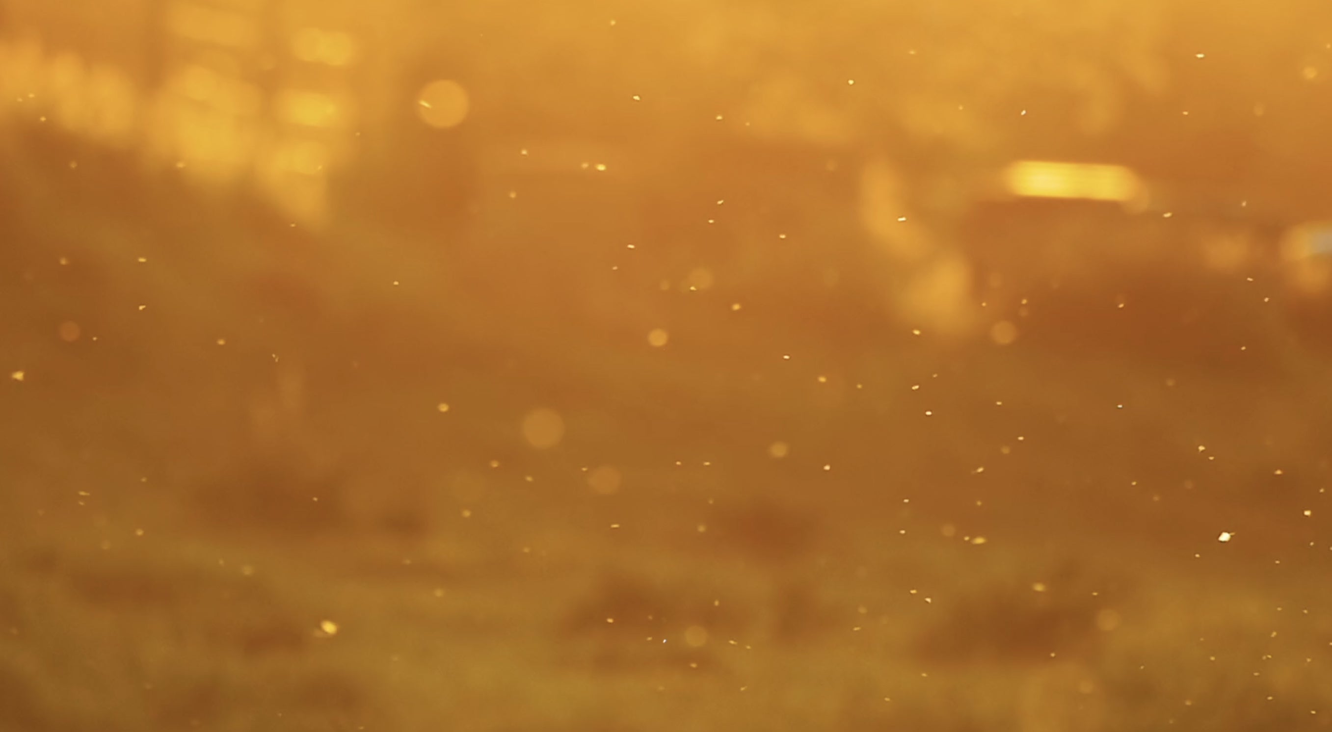 NosiDefence® Technology