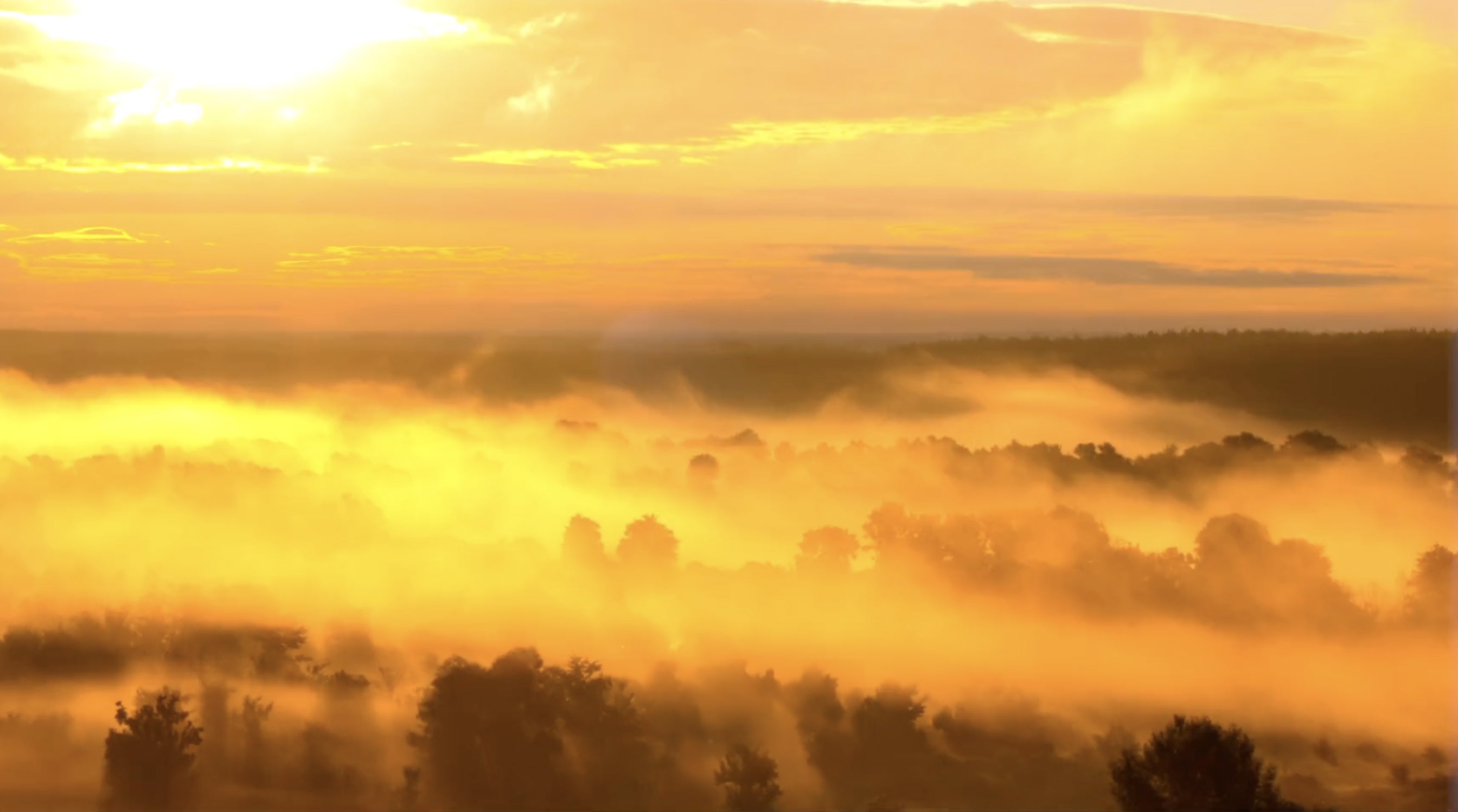 SolarShield® Technology