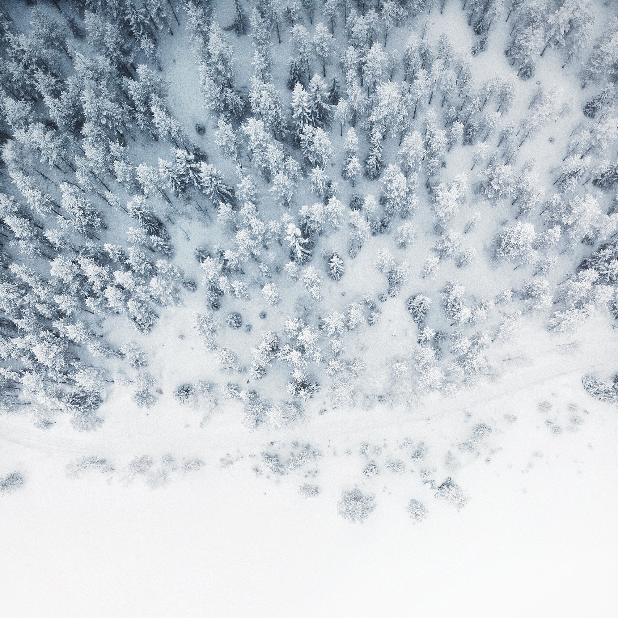 Thermo Pro® Technology